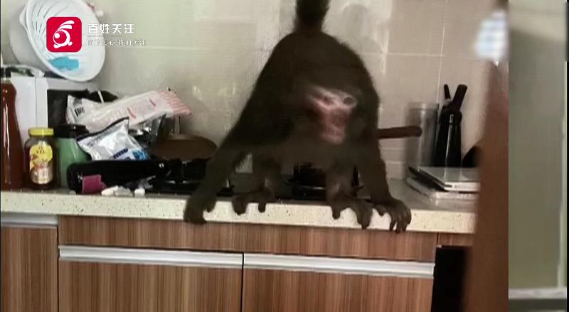 DƬ